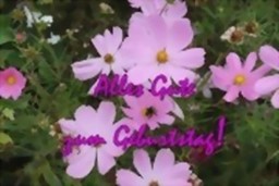 Zeige Details für Alles Gute zum Geburtstag - lila Blumen Bild von Alles Gute zum Geburtstag - lila Blumen