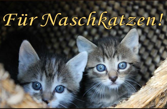 Schokolade "Für Naschkatzen"